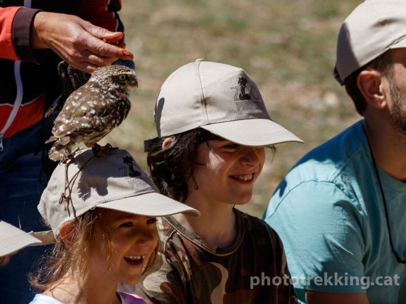 Birds of Prey Show