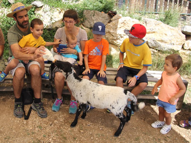 Gift Petting zoo for children