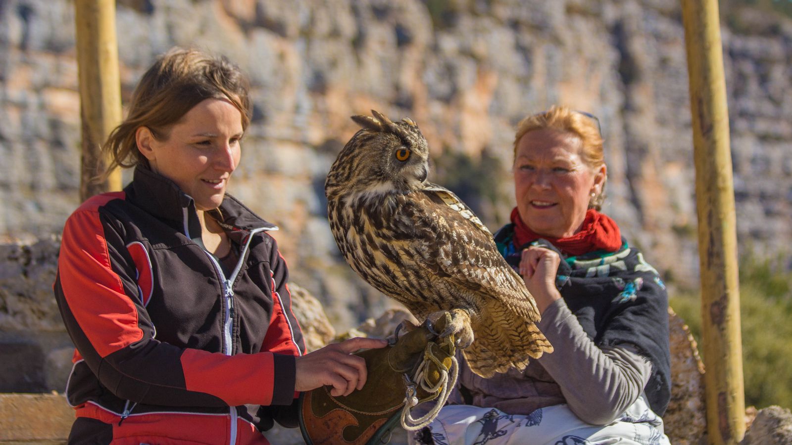 Regalar experiencias con animales